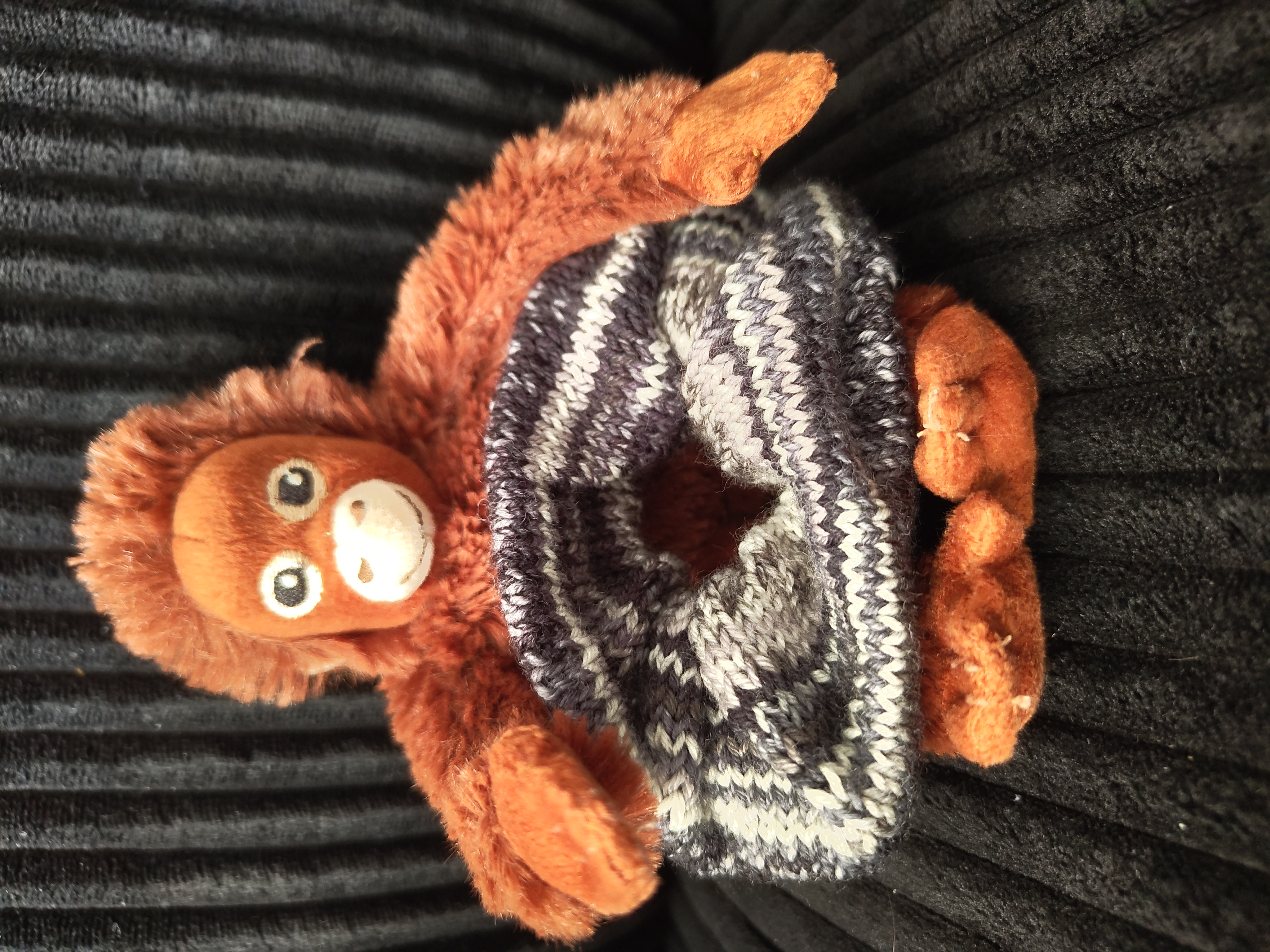 monkey with hat